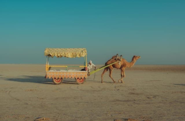 Gujarat - state travel guide - Gopedia